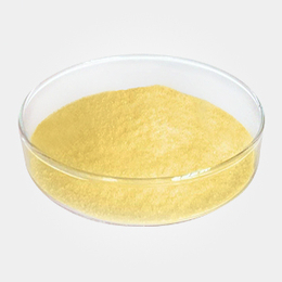 南箭*玉米醇溶蛋白9010-66-6原料发货迅捷