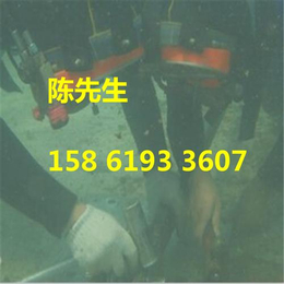 海豚水下(图),水下安装工程,水下安装