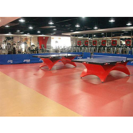 乒乓球室外运动地板_威亚体育设施_乒乓球室外运动地板施工