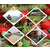 南阳草莓园采购_南阳草莓园_大山生态园草莓大棚暖和(多图)缩略图1