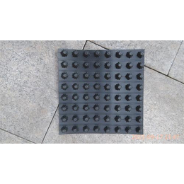 枣庄排水板,8mm排水板,兴源防水材料(多图)缩略图