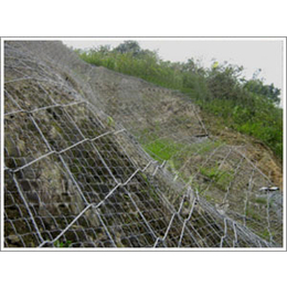 供应山坡防护网 抹灰电焊网 主动防护网安装 刺绳