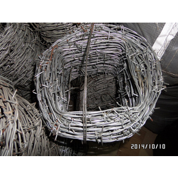 厂家批发供应镀锌铁刺丝 防护带刺铁丝 铁蒺藜 刺绳防护网缩略图