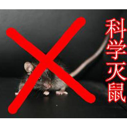 濮阳清波灭鼠(多图)、清丰县灭鼠公司