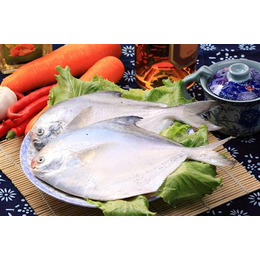鲳鱼|万斛食品(在线咨询)|绍兴鲳鱼批发