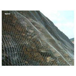 边坡防护高强度勾花网  建筑安全防护网 山体防护网 缩略图