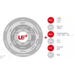 惠州用友进销存系统,用友进销存系统价格,皖友进销存系统