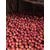 陕西纸袋红富士苹果价格膜袋红富士苹果批发行情缩略图2