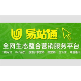 东营网站推广,网站推广代理,网泰信息科技缩略图