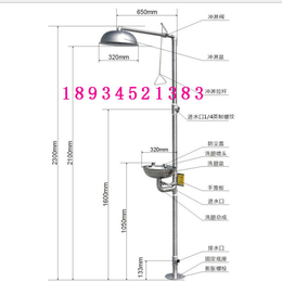 洗眼站 洗眼器 复合式洗眼器 不锈钢复合式洗眼站