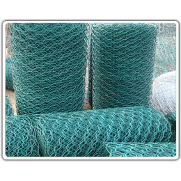 供应包塑石笼网 地暖网片 护坡钢丝网 石笼护垫 刺绳 