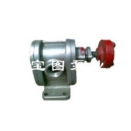 2CY3不锈钢高压齿轮泵销售与选型咨询泊头宝图泵业