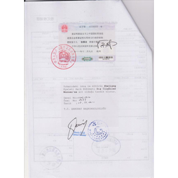 上海签出土耳其出口商登记表领事馆认证大**缩略图