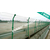 绿色养鸡场护栏 双边丝围栏网 折弯护栏网铁丝网广州厂家缩略图4