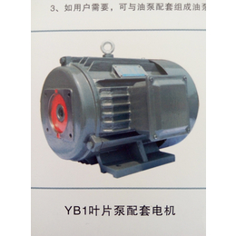 江苏双菊叶片泵液压系统配套电机