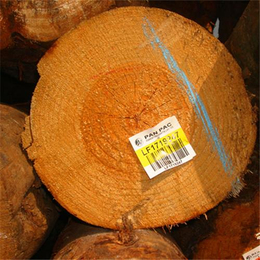 木材加工、日照木材加工厂家、友联木业(多图)