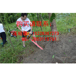 青川手提式挖树机厂家特点便携式挖树机价格实惠操作简单