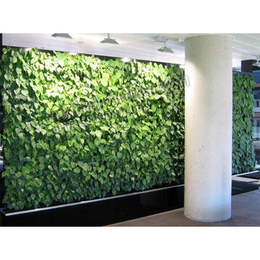 植物墙,铭秀立体(****商家),植物墙公司