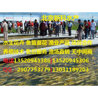 北京淡水养殖实验推广综合服务中心网站开业