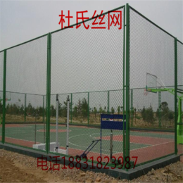 厂家*体育场护栏体育围网 网球护栏
