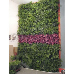 植物墙、铭秀立体、植物墙板