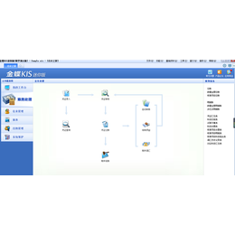 湖南金蝶标准版软件网络版财务软件11.0