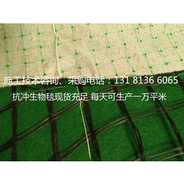 边坡* 边坡绿化 *冲生物毯 植物纤维毯厂家