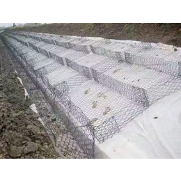 安平丰海(图)|广州石笼网的价格|石笼网缩略图