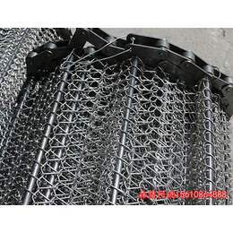 链条网带,河北省实体生产厂家(在线咨询),不锈钢链条网带