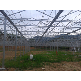 信阳哪里有建设智能玻璃温室郑州奥农苑农业科技****温室建造企业
