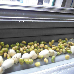 地瓜土豆翻新磨皮机--毛辊去皮机