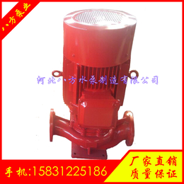 立式管道泵离心清水泵 IS*00-300热水增压循环水泵