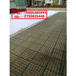 天津车库顶板防水板绿化蓄排水板15805385945