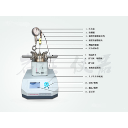 黑龙江智能数显高压反应釜