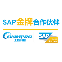 深圳SAP公司 深圳SAP实施代理商