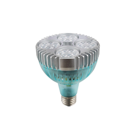 供应 科蒲尔LED-PAR30灯泡-A6