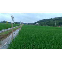 土壤*|永邦科技郑州分公司(在线咨询)|土壤*治理