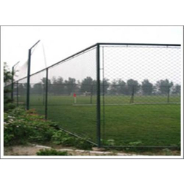足球场防护网*、贵州足球场防护网、卓诺丝网