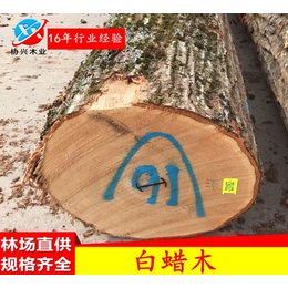 东莞厂家协兴木业供应美国进口白蜡木原木缩略图