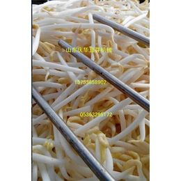 小麦芽发芽机催芽机_催芽机_青州庆华豆芽机价格