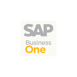 广州SAP business one-广州达策缩略图