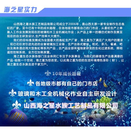 大型鱼缸定做_大型鱼缸定做厂家_海之星水族公司(多图)