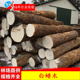 白蜡木厂家协兴木业供应美国进口白蜡木水曲柳缩略图