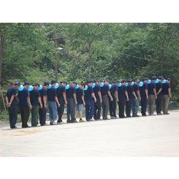 郑州市团建培训师、蓝海培训(在线咨询)、团建培训师机构