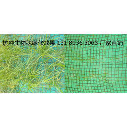 边坡防护 椰丝毯 植物纤维毯 *冲生物毯 加筋植生毯