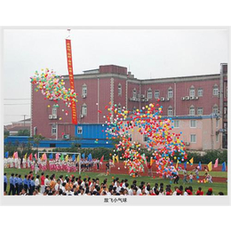 新华镇小气球放飞、小气球放飞、升空小气球放飞代充
