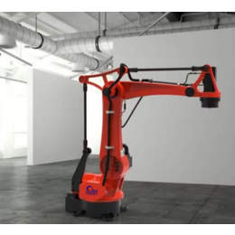 广东东莞工业非标自动化设备全自动多关节搬运码垛焊接机器人