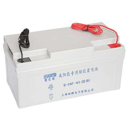 杭州免维护蓄电池厂家|铅酸免维护蓄电池厂家|雷仕顿蓄电池