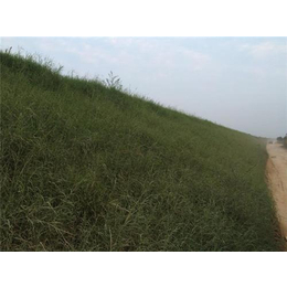 随州椰丝毯、边坡绿化(已认证)、2x30m椰丝毯规格
