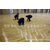 木地板翻新、桂林木地板翻新、五环体育(多图)缩略图1
